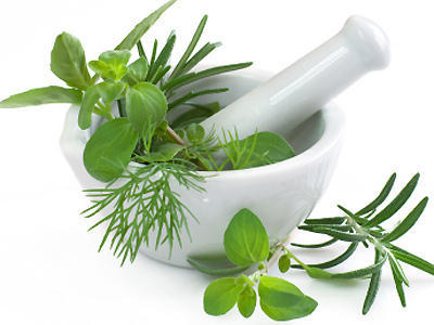 Update guidelines for (traditional) herbal medicinal products